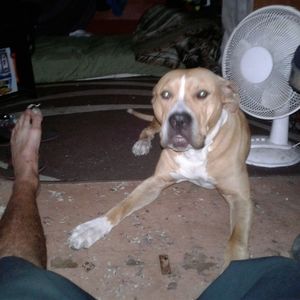 Meet your Posher, Aaron